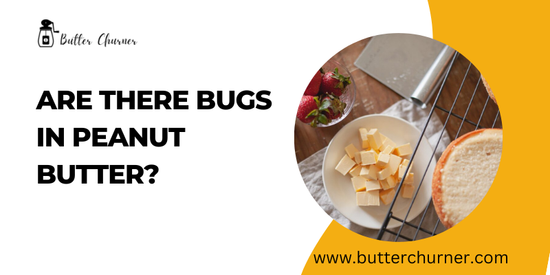 are there bugs in peanut butter